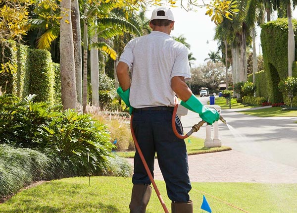 About Llewellyn PA Pest Control
